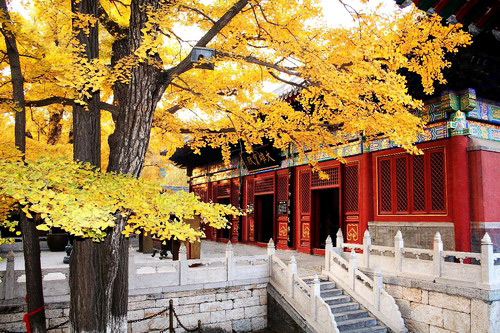 青龍峽踏青、紅螺寺賞紅