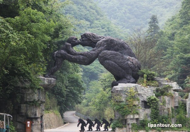 宜昌、三峽大壩、昭君故里、大九湖、神農(nóng)架5日